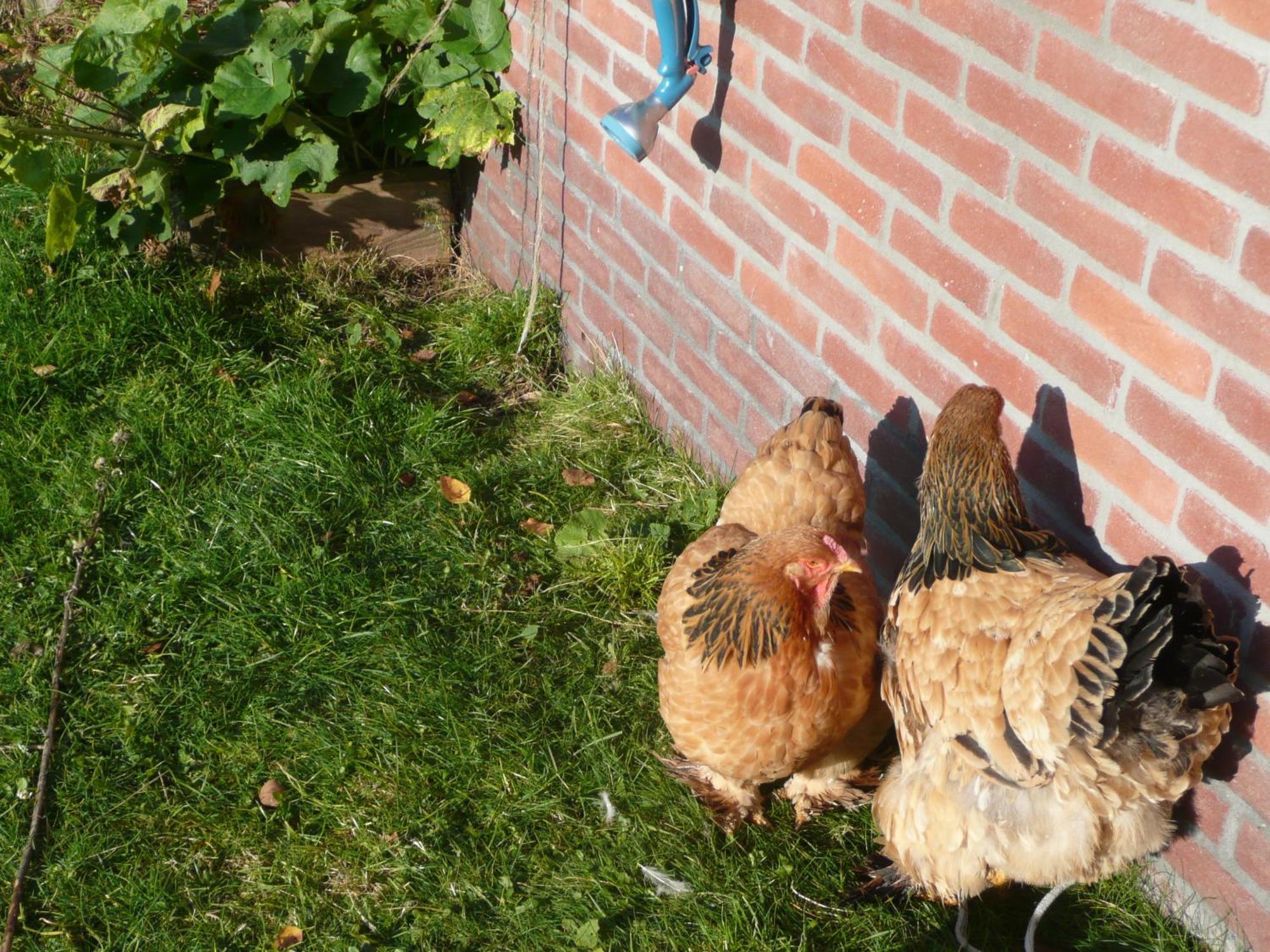 Bed and Breakfast Slaopen En Stoet Anderen Екстер'єр фото